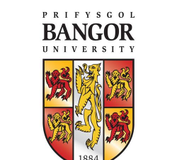 威尔士大学班戈分校