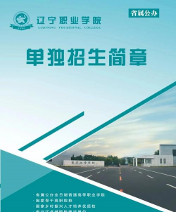 辽宁职业学院五年制大专户外活动场地