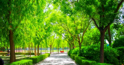 甘肃工商行政管理学校户外活动场地