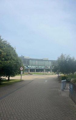 布莱顿大学