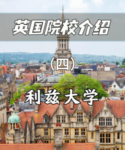 利兹大学