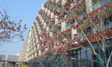长治市第一职业高级中学户外活动场地
