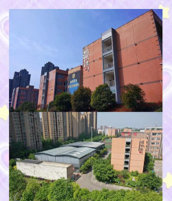 重庆市童家桥职业中学