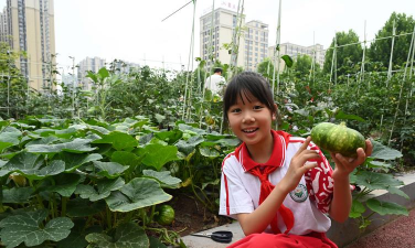 内江市东兴区东方科技职业学校户外活动场地