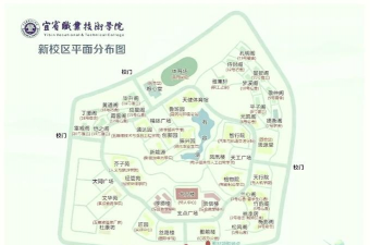 南溪县职业高级中学校户外活动场地