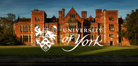 约克大学（英国）户外活动场地