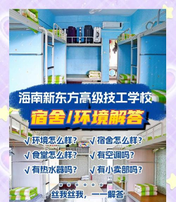 海南新东方烹饪技工学校户外活动场地