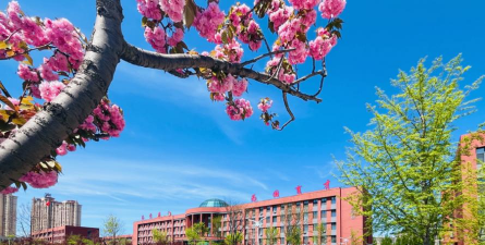 营口经济技术开发区第二高级中学户外活动场地