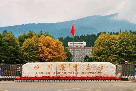 四川农业大学户外活动场地