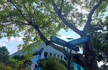四川建筑职业技术学院户外活动场地