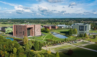 阿里安特国际大学户外活动场地