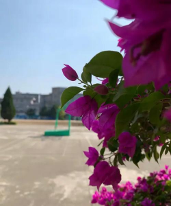 南宁市横县百合镇第二初级中学户外活动场地