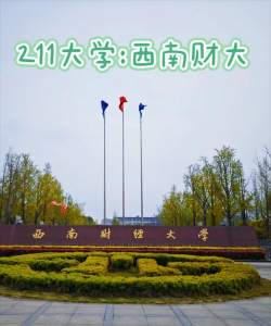 西南财经大学户外活动场地
