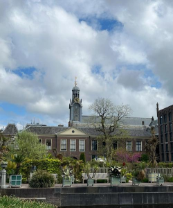 卢顿大学