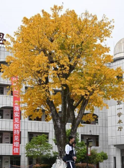 绵阳南山中学户外活动场地
