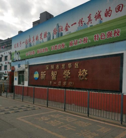 隆安县新智中学户外活动场地