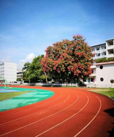 广西桂林恭城中学户外活动场地
