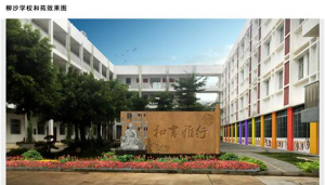 南宁市柳沙学校(小学部)户外活动场地