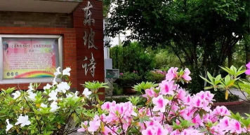 宜兴市丁蜀镇东坡中学户外活动场地