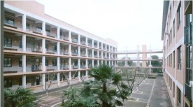 临泉县姜寨博文学校户外活动场地