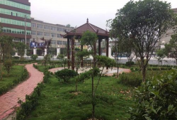临泉县迎仙镇初级中学户外活动场地