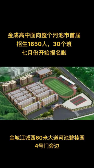 临泉县田桥乡金成中学户外活动场地