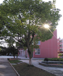 孔园中学户外活动场地