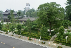 孝泉师范学校户外活动场地