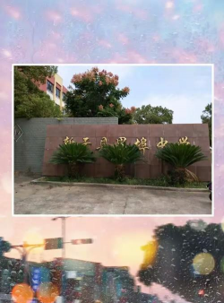 界埠中学