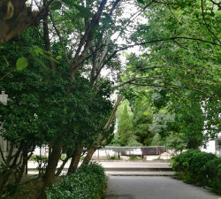 江西余江桃李中学户外活动场地