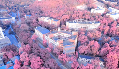 重庆人文科技学院阅读区