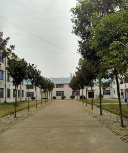 安乡县安凝乡张九台中学阅读区
