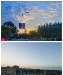 重庆电信职业学院单招