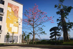 华南师范大学附属阳春学校