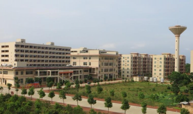 雷州市第八中学阅读区