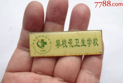 攀枝花卫生学校