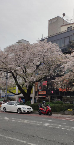 国立丰原高级中学阅读区