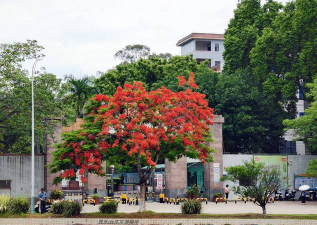 台北市私立东山高级中学阅读区