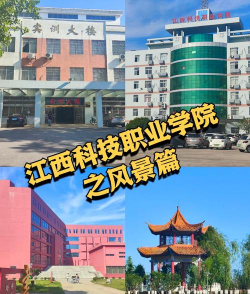 江西新能源科技职业学院阅读区