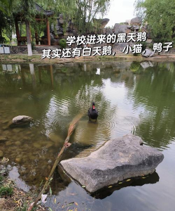 山东传媒职业学院阅读区