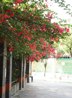 达州市通川区第五中学阅读区