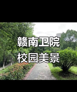 赣南卫生健康职业学院