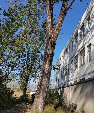 湖沟中学阅读区