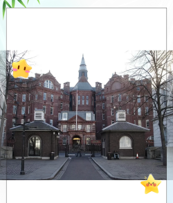 伦敦大学圣乔治学院阅读区