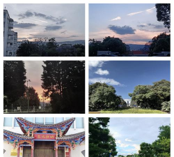 云南农业大学阅读区