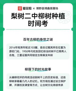 梨树二中