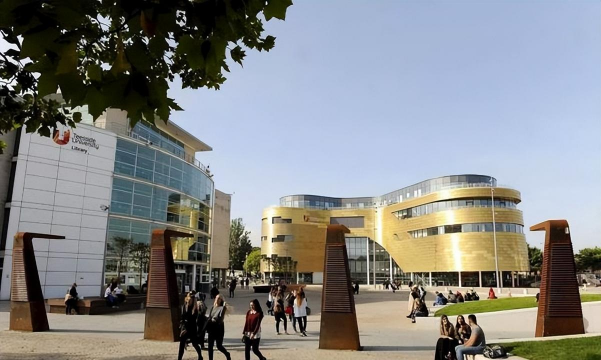 提赛德大学