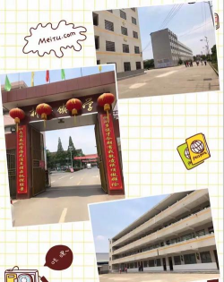 临澧县新安镇中学