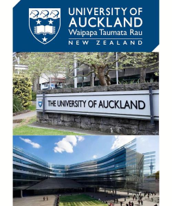奥克兰大学阅读区