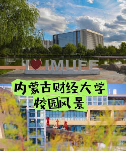内蒙古财经大学阅读区